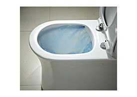 Rimless Toilets