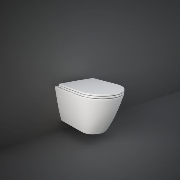 Resort Standard Flush Wall Hung Toilet & Seat