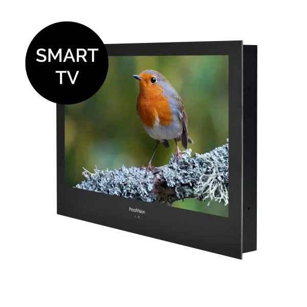 Lily Vision Black Smart Bathroom TVs 19" - 43"